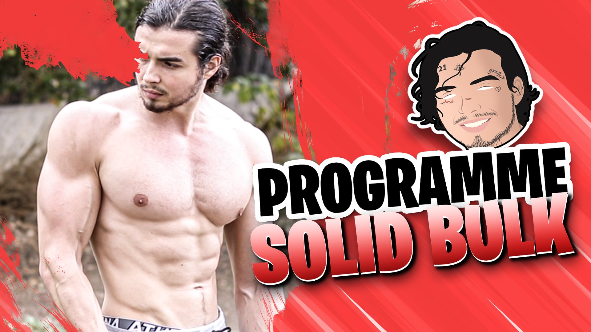 Solid Bulk Vol.1